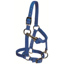 Weaver Leather - Miniature Horse Adjustable Chin And Throat Snap Halter, Blue, 5 8 Inch Average
