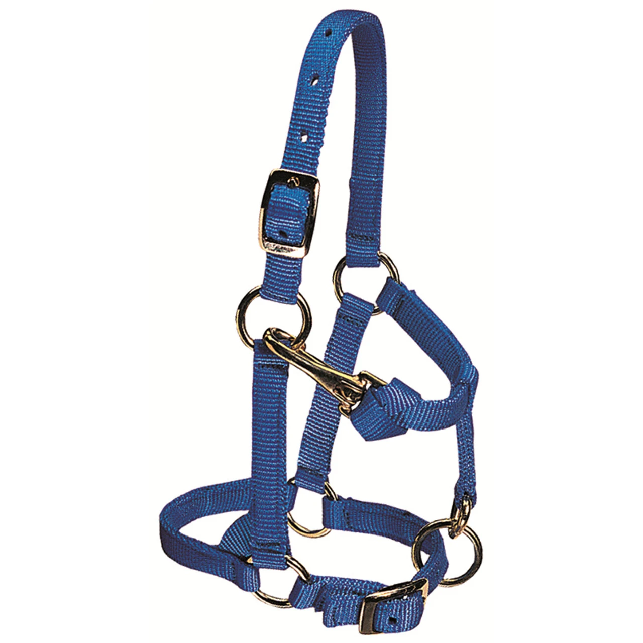 Weaver Leather - Miniature Horse Adjustable Chin And Throat Snap Halter, Blue, 5 8 Inch Average