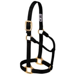 Weaver Leather - Original Non-Adjustable Halter, Black, 1 Inch Yearling Horse