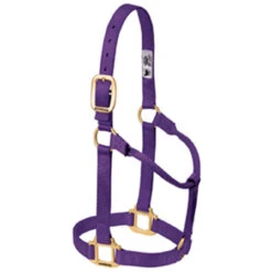 Weaver Leather - Original Non-Adjustable Halter, Purple, 1 Inch Yearling Horse