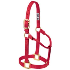 Weaver Leather - Original Non-Adjustable Halter, Red, 1 Inch Yearling Horse