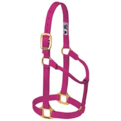 Weaver Leather - Original Non-Adjustable Halter, Raspberry, 1 Inch Large Horse Or 2-Year-Old Draft