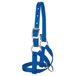 Weaver Leather - Alpaca Halter, Blue, 5 8 Inch Medium