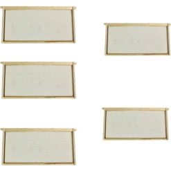 Harvest Lane Honey Deep Beehive 5 Frames