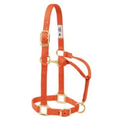 Weaver Leather- Original Adjustable Chin & Throat Snap Halter 3/4" Weanling/Pony Orange