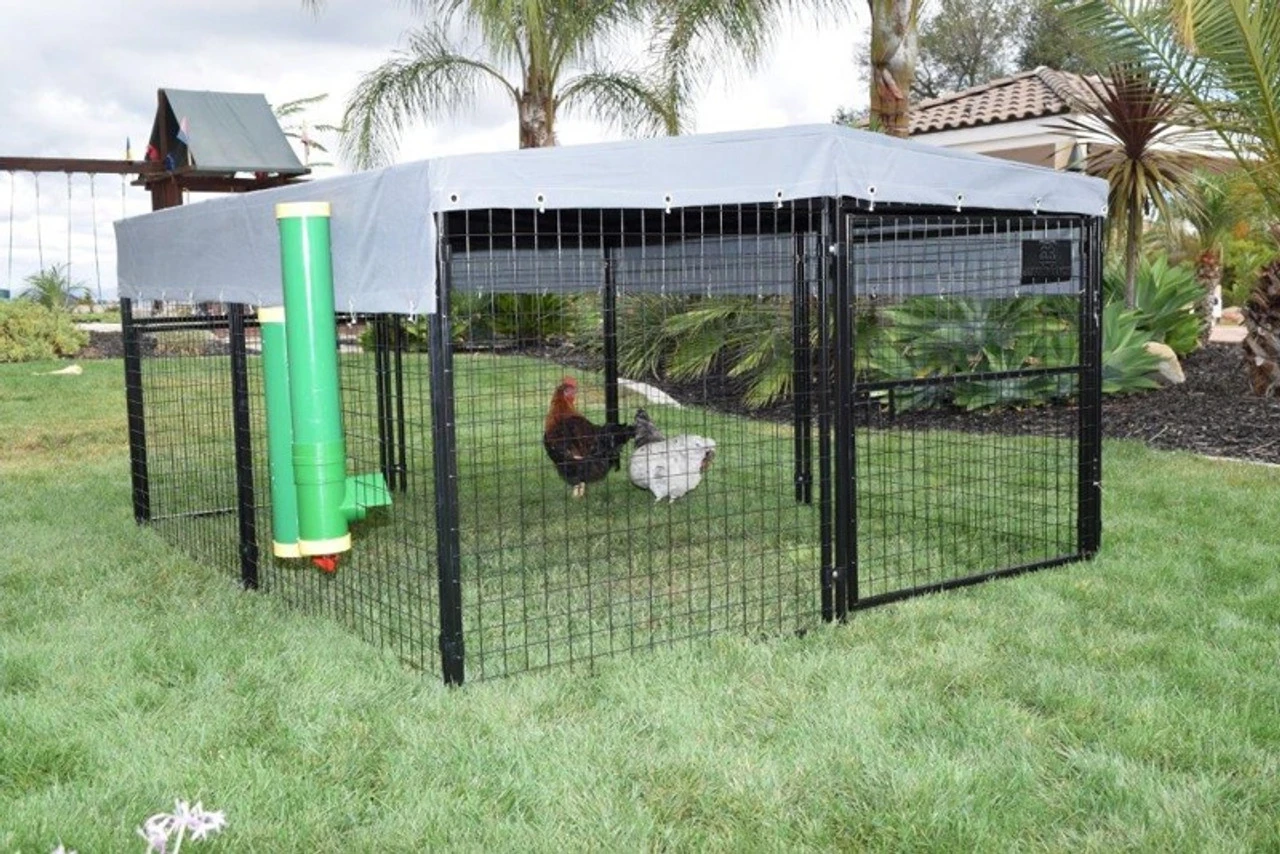 Rugged Ranch High End Poultry Waterer - Image 4