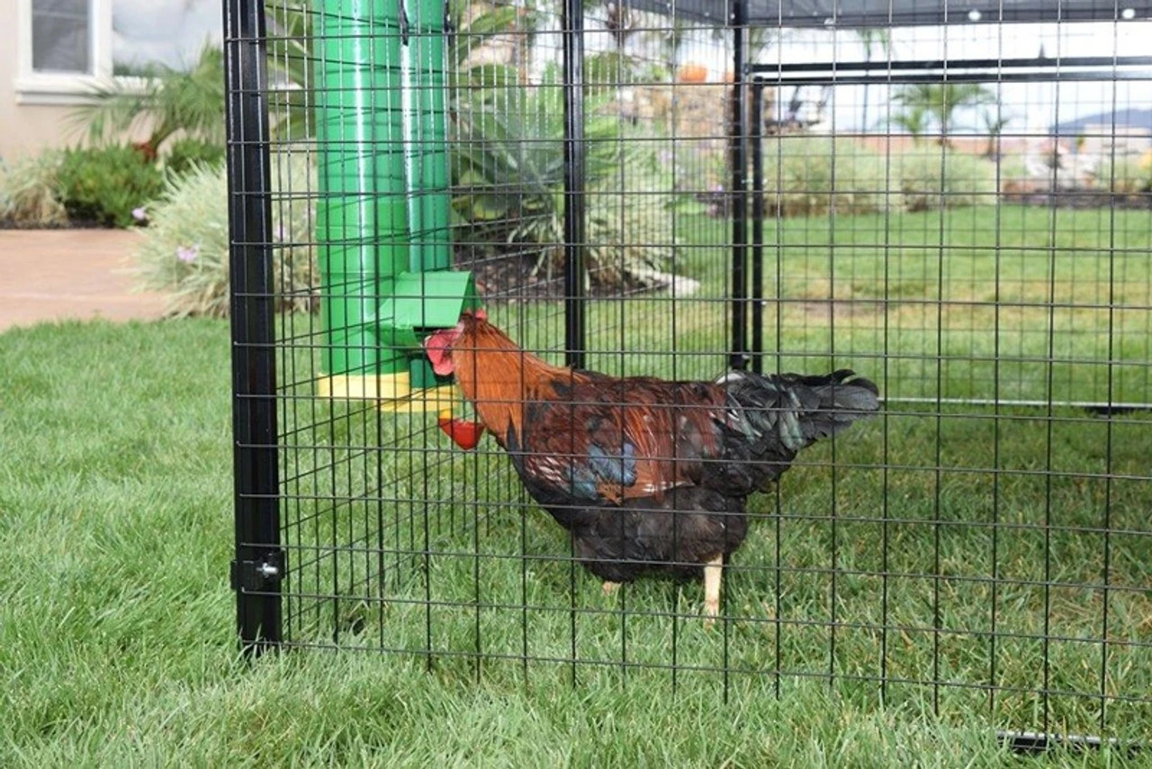 Rugged Ranch High End Poultry Waterer - Image 2