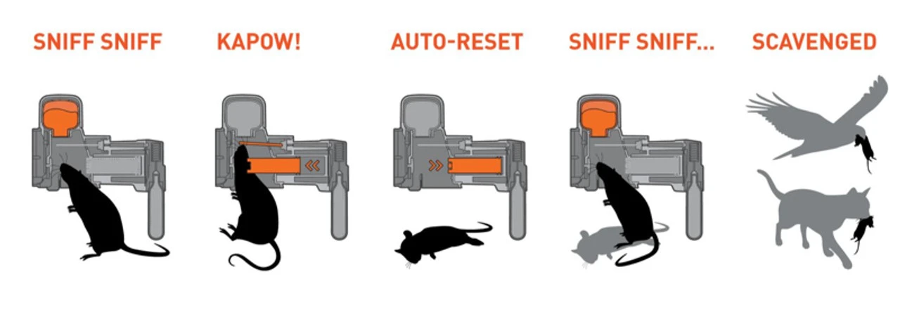 Goodnature A24 Automatic Rat & Mouse Trap - Image 3