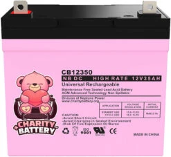 Charity Battery 12 Volt 35Ah SLA Lawn Mower Battery