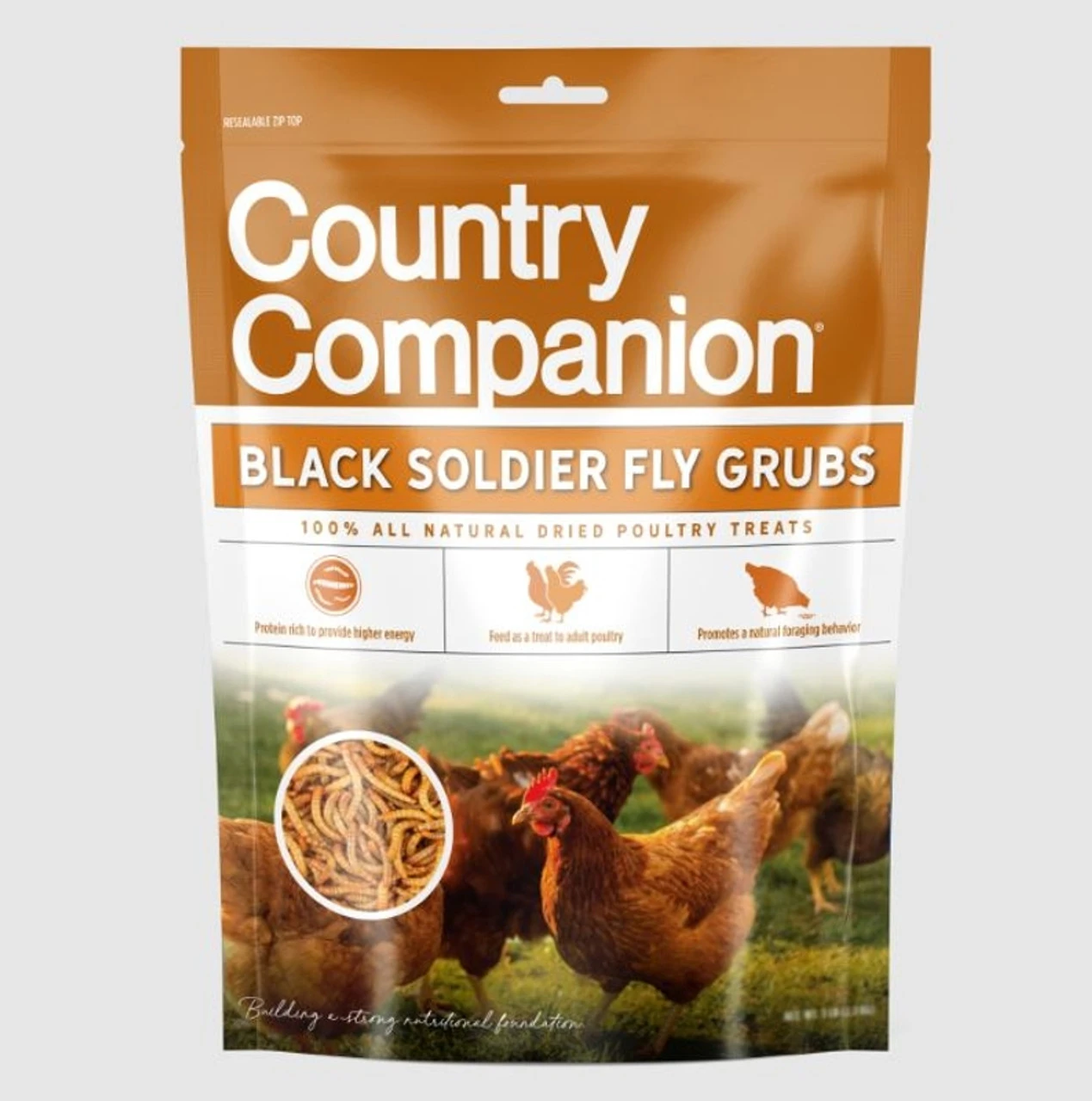 Country Companion Black Soldier Fly Grubs 2LB Bag