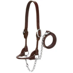 Weaver Leather - Dairy Beef Rounded Show Halter, Brown, Large