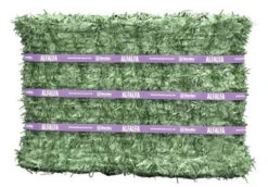 Standlee Premium Alfalfa Compressed Bales - 50 Lb