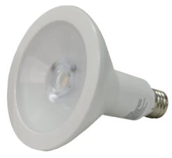 Sylvania LED 13W 1200 Lumens Lightbulb