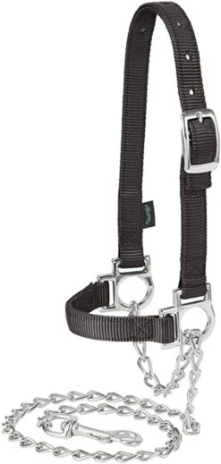 Weaver Leather Nylon Adjustable Sheep Halter With Chain Lead, Black