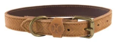 Hooey Galveston Genuine Leather Dog Collar