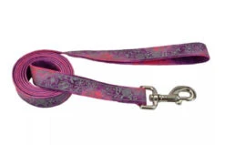 Coastal LazerBrite Patterned Leash Pink Multi Flowers